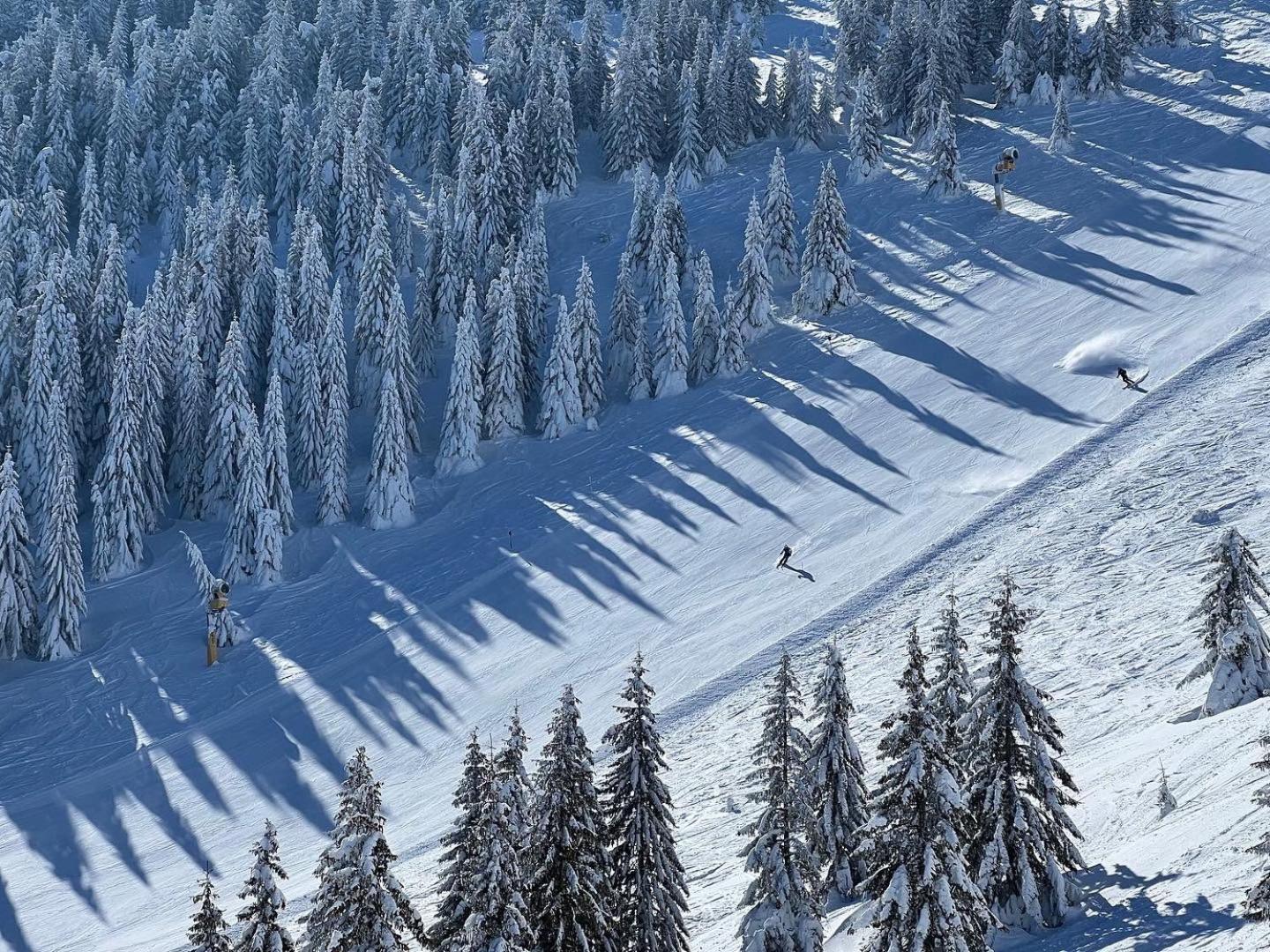 Aparthotel Kopaonik Brzeće Eksteriør billede